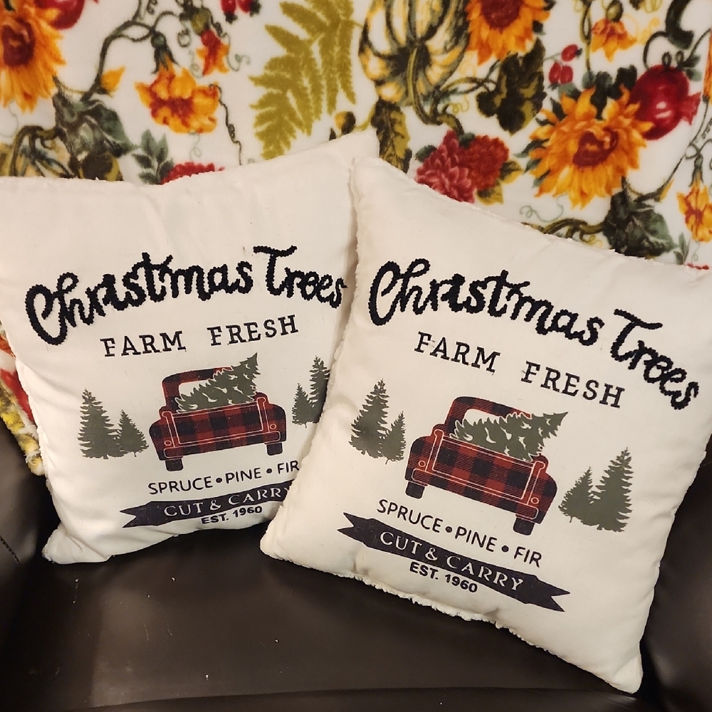 Lot of 2 COUNTRY CHRISTMAS PILLOWS LIKE NEW